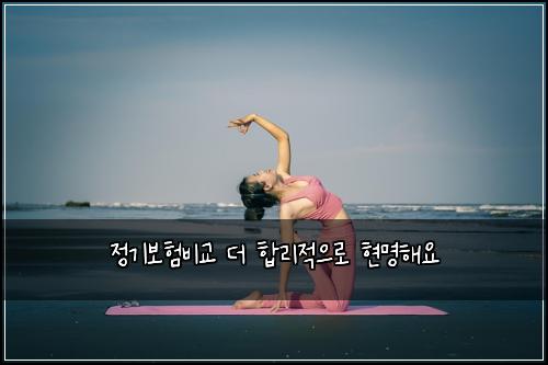 정기보험비교 더 합리적으로 현명해요