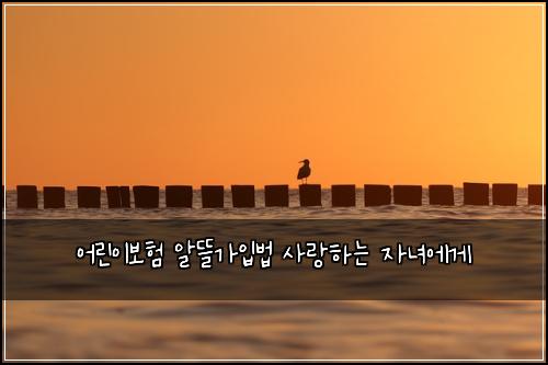 어린이보험 알뜰가입법  사랑하는 자녀에게