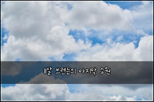 11살 브렌든의 마지막 소원