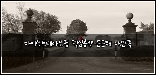다이렉트태아보험 핵심공략  든든해 대만족