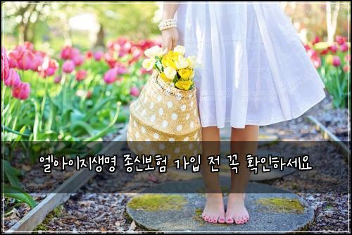 엘아이지생명 종신보험 가입 전 꼭 확인하세요