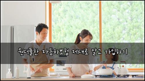 원더풀한 자동차보험 제대로 알고 가입하기