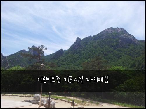 어린이보험 기초지식  자리매김