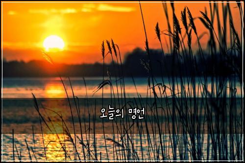 오늘의 명언