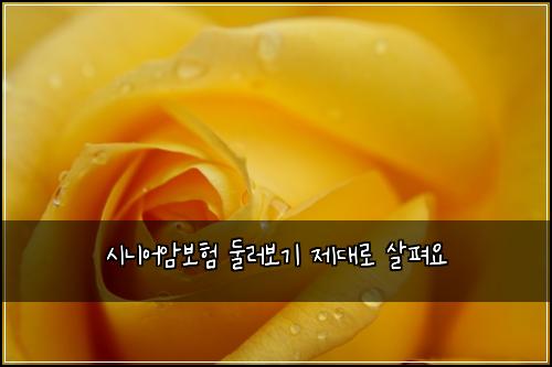 시니어암보험 둘러보기  제대로 살펴요