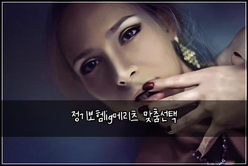 정기보험lig메리츠 맞춤선택