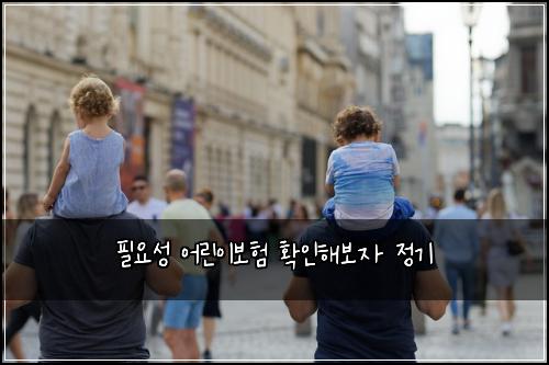 필요성 어린이보험 확인해보자  정기