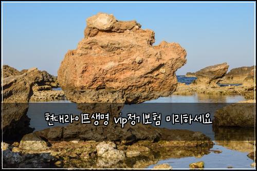현대라이프생명 vip정기보험 미리하세요 