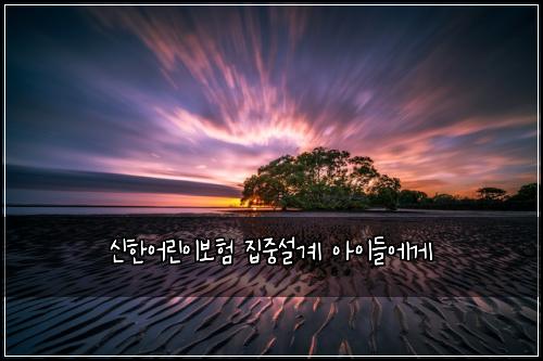 신한어린이보험 집중설계  아이들에게