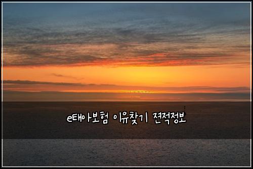 e태아보험 이유찾기  젼적정보