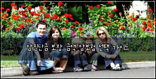 암진단금 보장 금액 암보험 선택 가이드