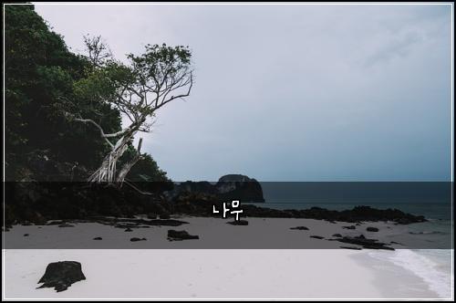 나무