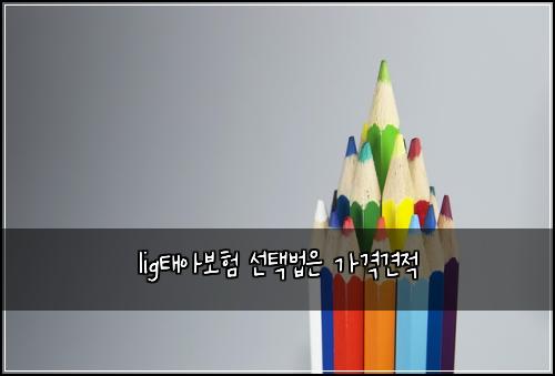 lig태아보험 선택법은  가격견적