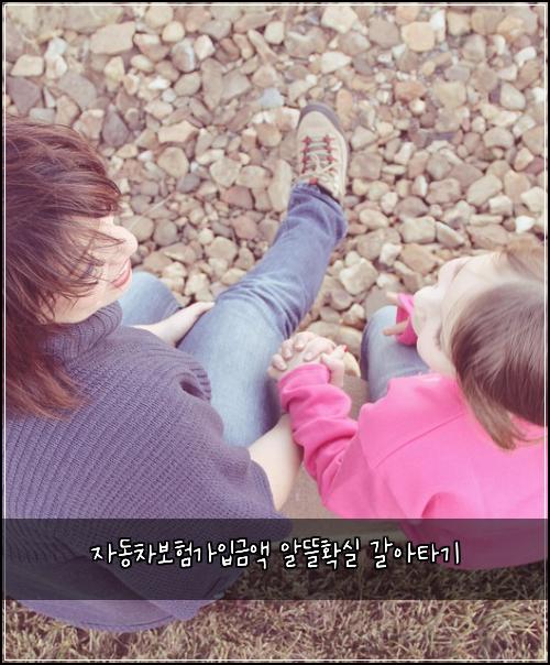 자동차보험가입금액 알뜰확실 갈아타기