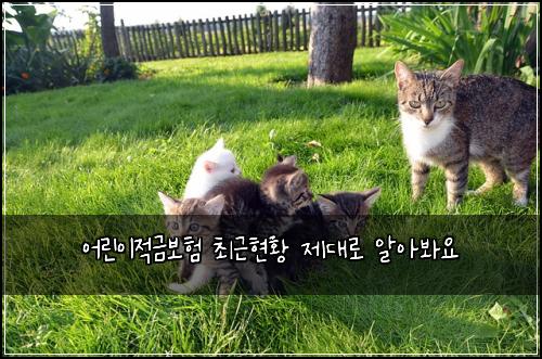 어린이적금보험 최근현황  제대로 알아봐요