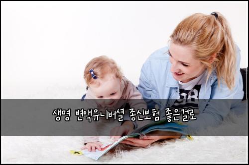 생명 변액유니버셜 종신보험 좋은걸로 
