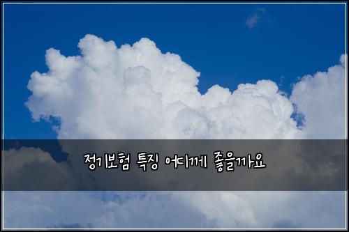정기보험 특징  어디께 좋을까요