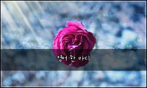 영어 한 마디
