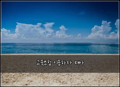 교육보험 이용하자  태아