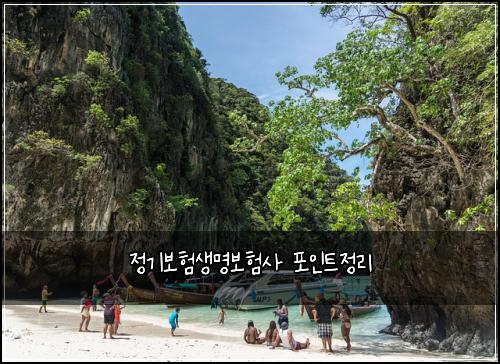 정기보험생명보험사 포인트정리