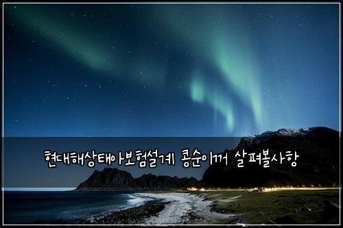 현대해상태아보험설계 콩순이꺼 살펴볼사항