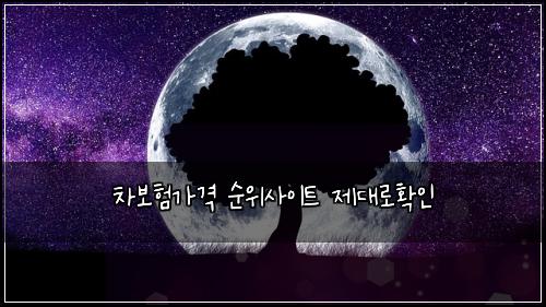 차보험가격 순위사이트 제대로확인