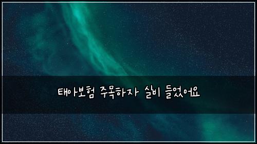 태아보험 주목하자  실비 들었어요