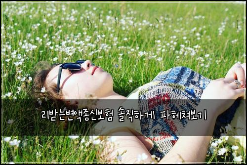 리받는변액종신보험 솔직하게 파헤쳐보기