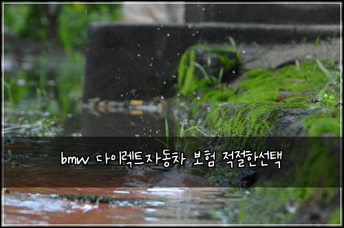 bmw 다이렉트자동차 보험 적절한선택 