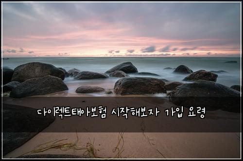 다이렉트태아보험 시작해보자  가입 요령
