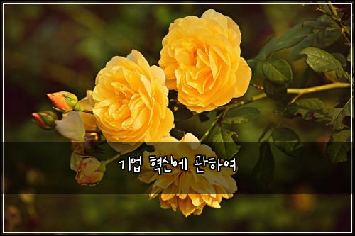 기업 혁신에 관하여