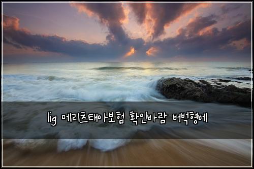 lig 메리츠태아보험 확인바람  버벅형베