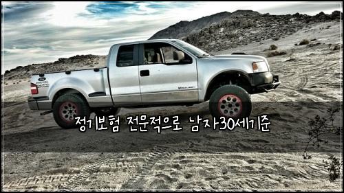 정기보험 전문적으로  남자30세기준