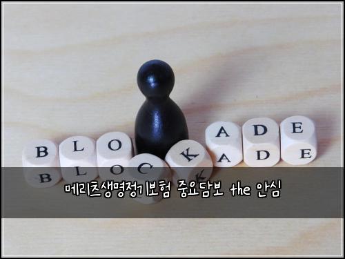 메리츠생명정기보험 중요담보  the 안심