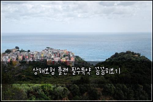 상해보험 플랜  필수특약 꼼꼼히보기