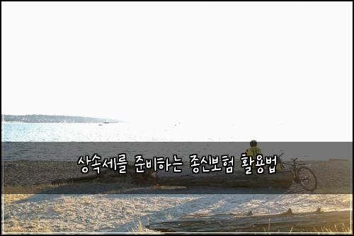상속세를 준비하는 종신보험 활용법