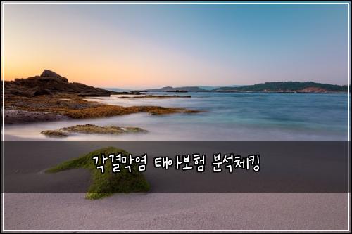 각결막염 태아보험 분석체킹 