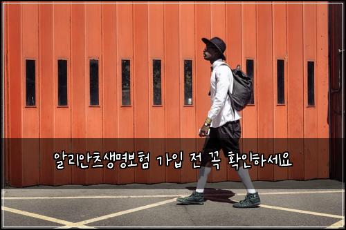 알리안츠생명보험 가입 전 꼭 확인하세요