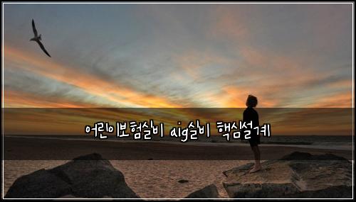 어린이보험실비 aig실비 핵심설계