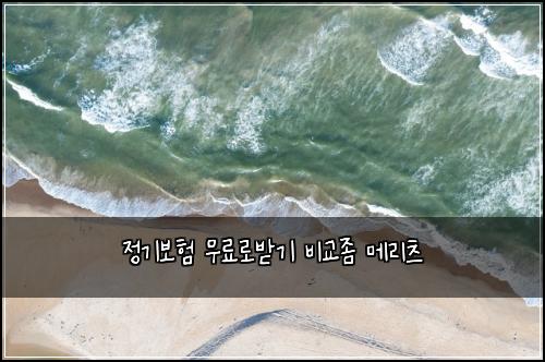 정기보험 무료로받기  비교좀 메리츠