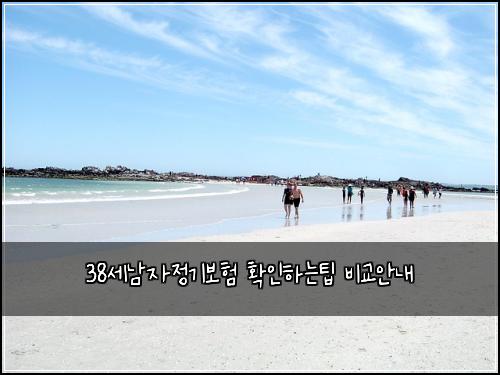 38세남자정기보험 확인하는팁  비교안내
