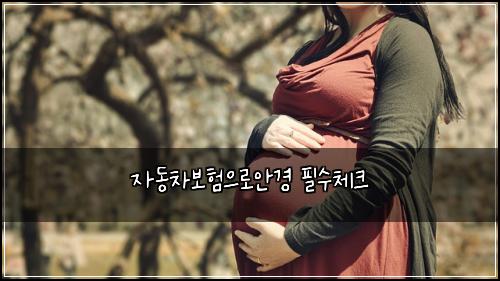 자동차보험으로안경 필수체크