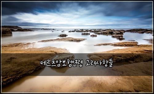 메르츠암보험연령 고려사항들