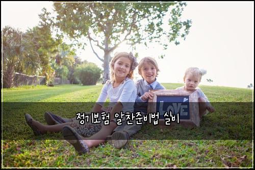 정기보험 알찬준비법  실비
