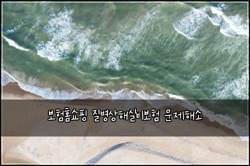 보험홈쇼핑 질병상해실비보험 문제해소