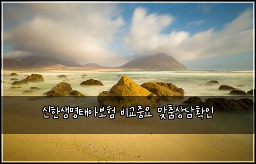 신한생명태아보험 비교중요  맞춤상담확인