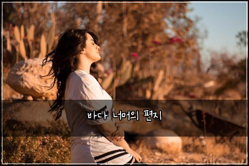 바다 너머의 편지