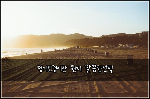 정기보험이란 뭔지 깔끔한선택