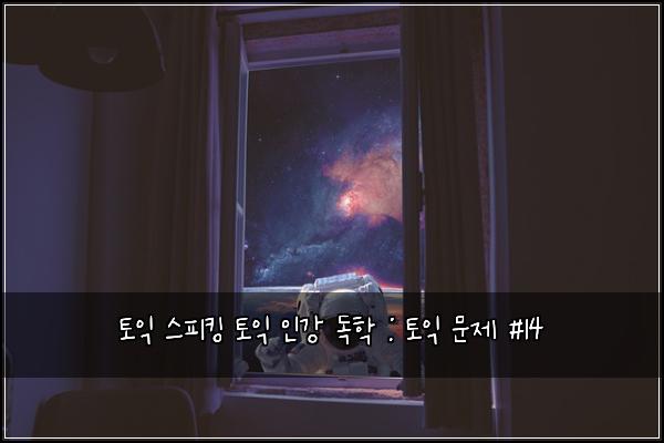 토익 스피킹 토익 인강 독학 : 토익 문제 #14