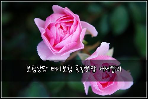 보험상담 태아보험 종합보장 어서빨리